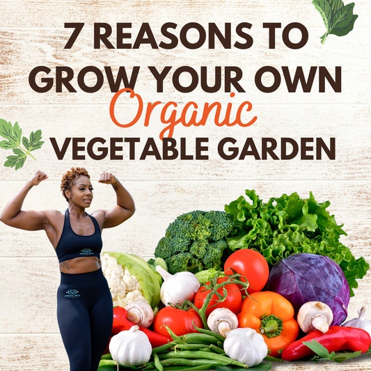 7 Reasons to grow your own organic vegetable garden